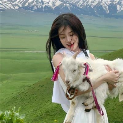 诺亚方舟漂流记2